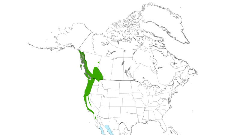 Range Map (North): Pacific-slope Flycatcher