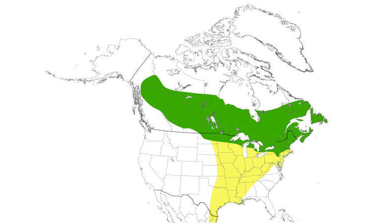 Range Map (North): Yellow-bellied Flycatcher