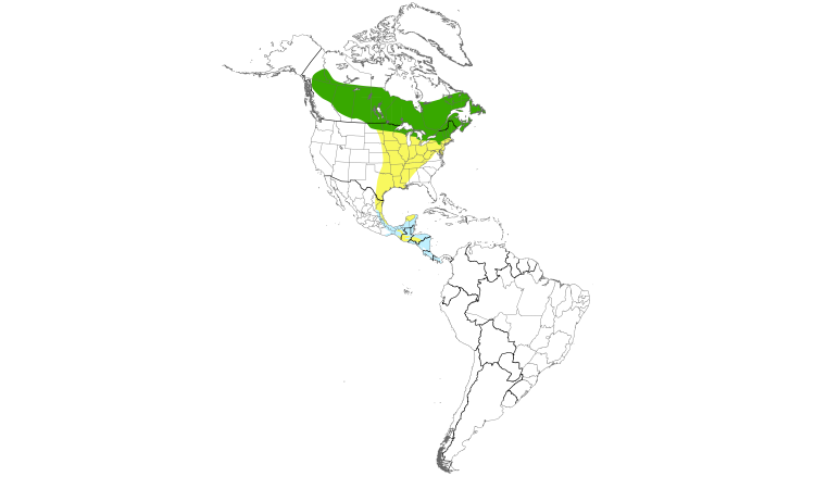 Range Map (Americas): Yellow-bellied Flycatcher