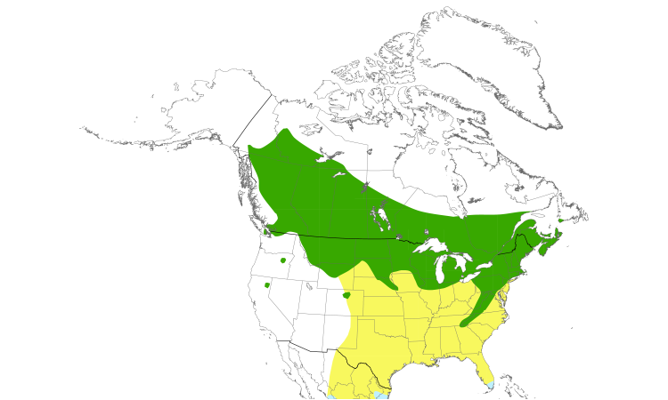 Range Map (North): Least Flycatcher