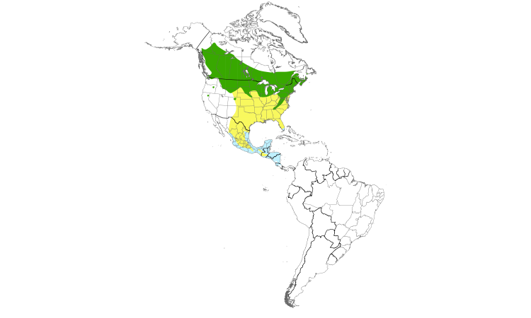 Range Map (Americas): Least Flycatcher