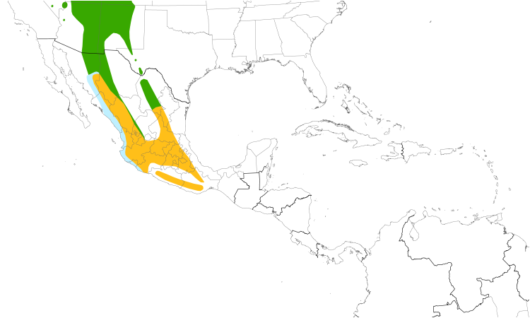 Range Map (Central): Cordilleran Flycatcher