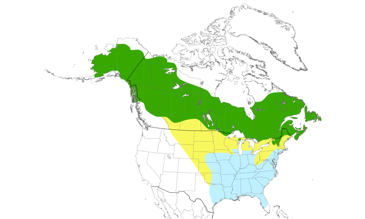 Range Map (North): Rusty Blackbird