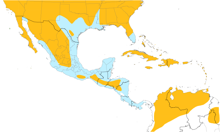 Range Map (Central): American Kestrel