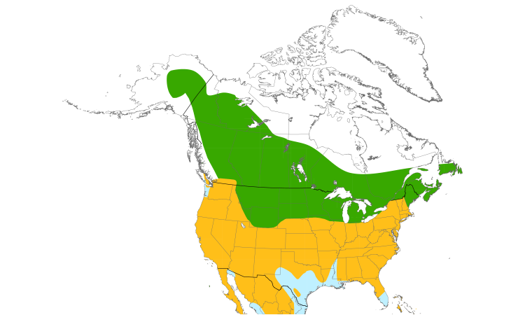 Range Map (North): American Kestrel