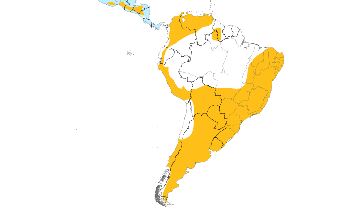 Range Map (South): American Kestrel