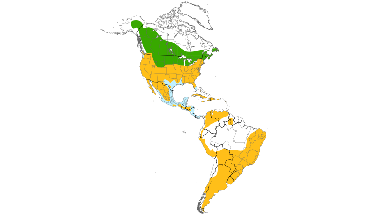 Range Map (Americas): American Kestrel