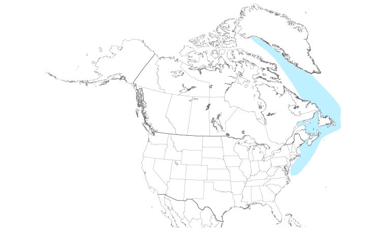 Range Map (North): Atlantic Puffin