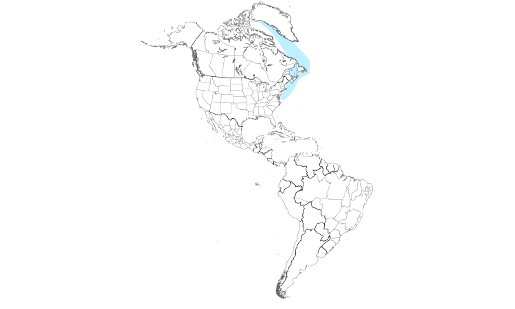 Range Map (Americas): Atlantic Puffin