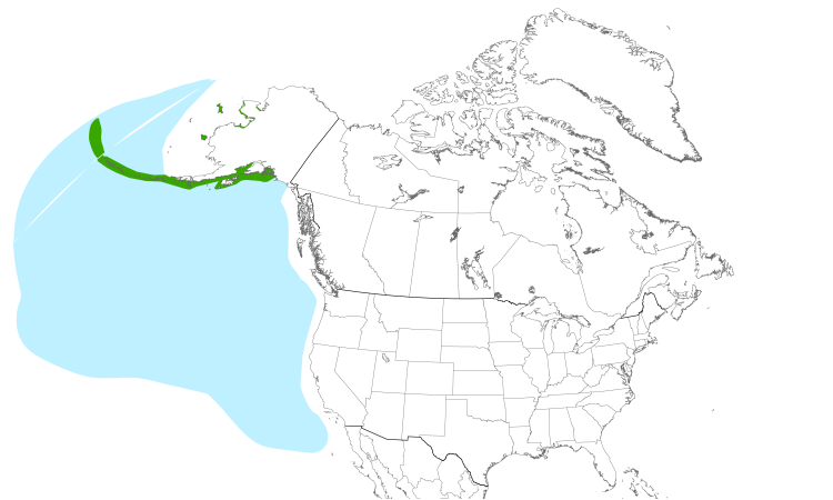 Range Map (North): Horned Puffin