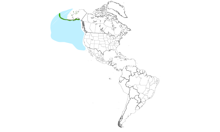 Range Map (Americas): Horned Puffin