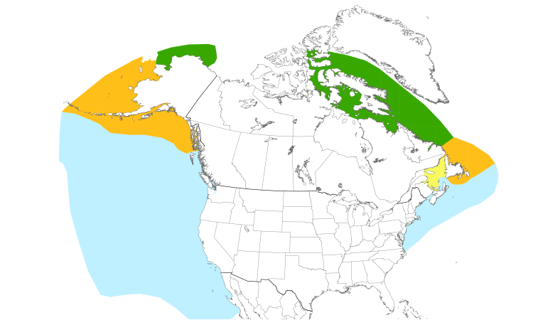 Range Map (North): Northern Fulmar