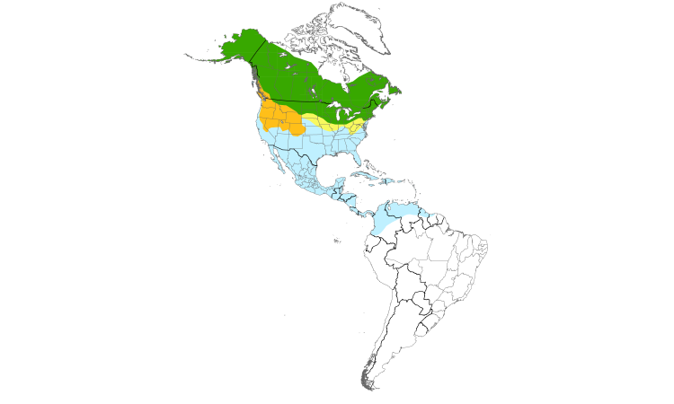 Range Map (Americas): Wilson's Snipe