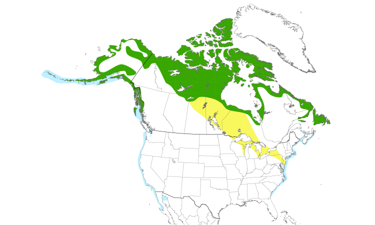 Range Map (North): Red-throated Loon