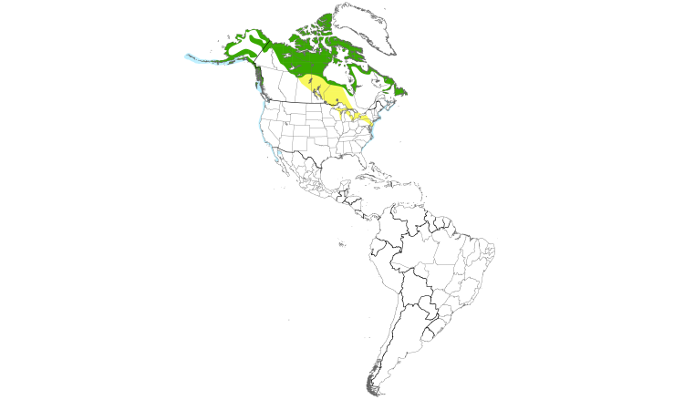 Range Map (Americas): Red-throated Loon