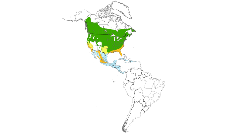 Range Map (Americas): Common Yellowthroat