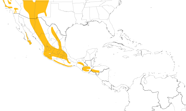 Range Map (Central): Northern Pygmy-Owl