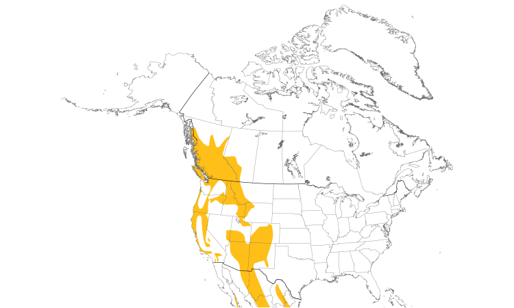 Range Map (North): Northern Pygmy-Owl