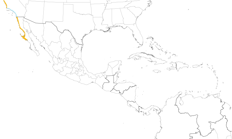 Range Map (Central): Black Oystercatcher