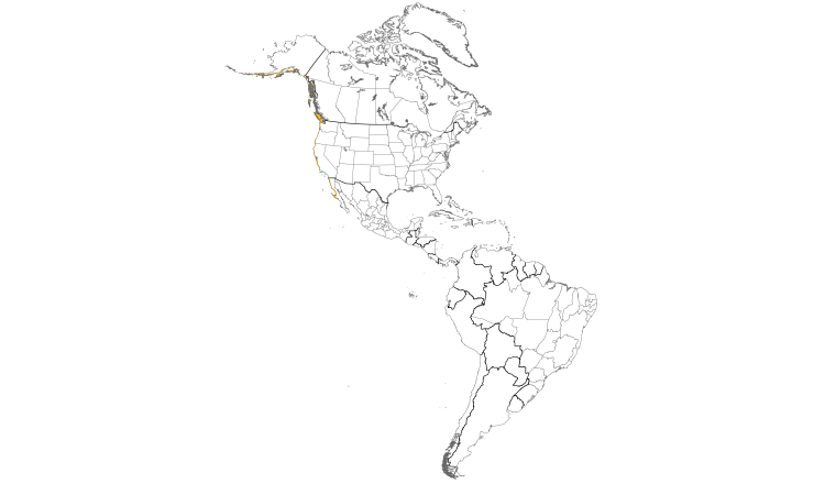 Range Map (Americas): Black Oystercatcher