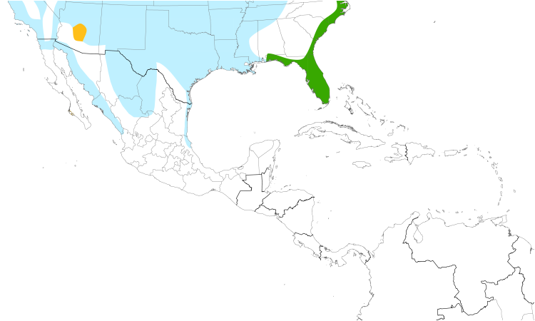 Range Map (Central): Bald Eagle