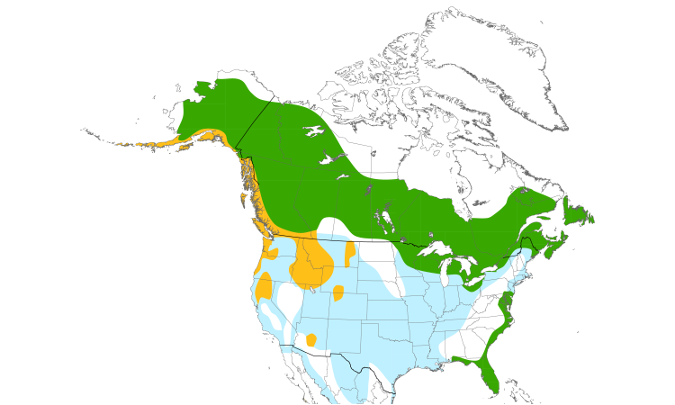 Range Map (North): Bald Eagle