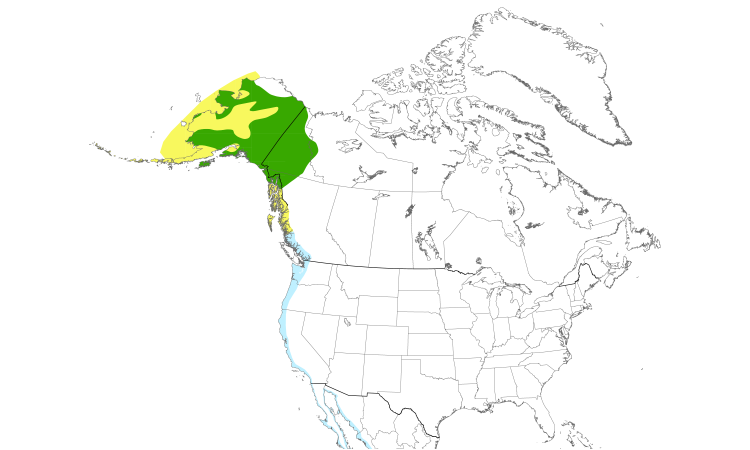 Range Map (North): Wandering Tattler