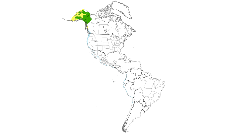 Range Map (Americas): Wandering Tattler
