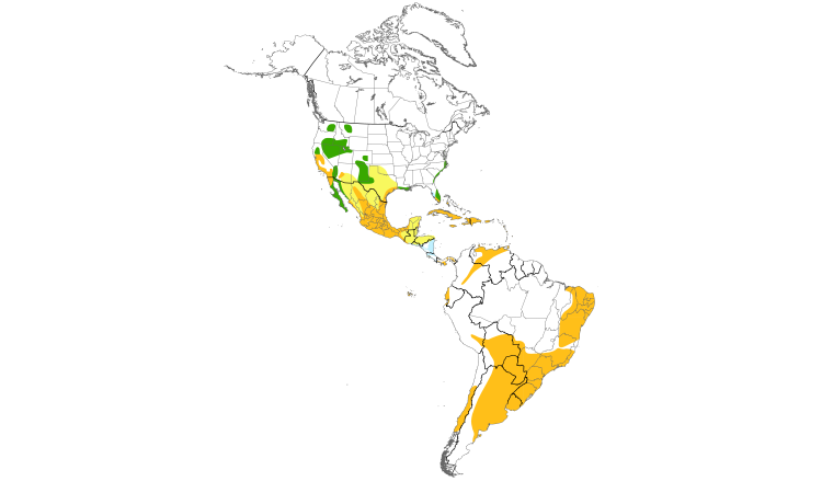 Range Map (Americas): Black-necked Stilt