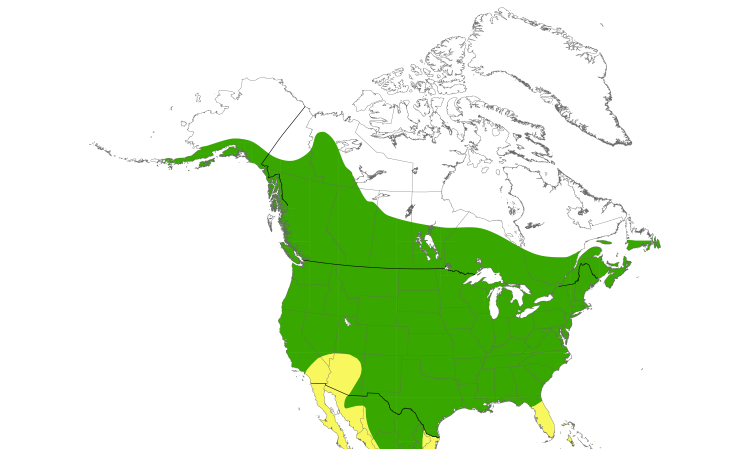 Range Map (North): Barn Swallow