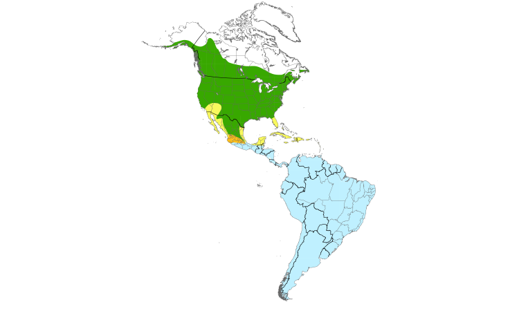 Range Map (Americas): Barn Swallow