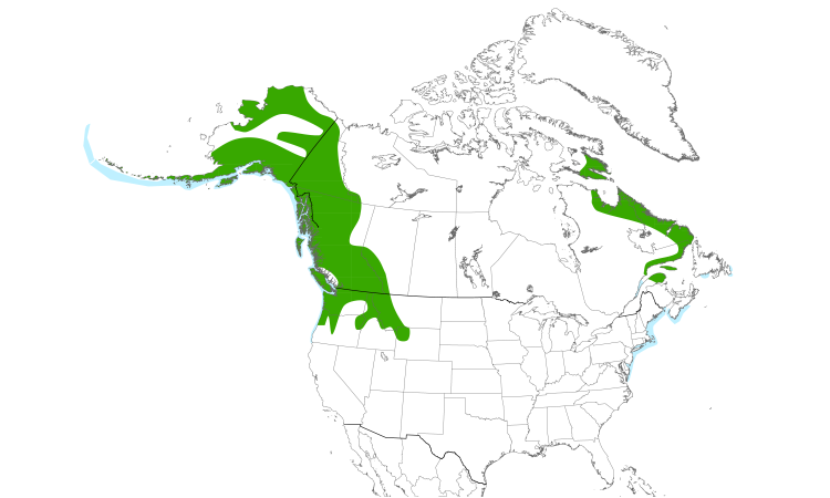 Range Map (North): Harlequin Duck