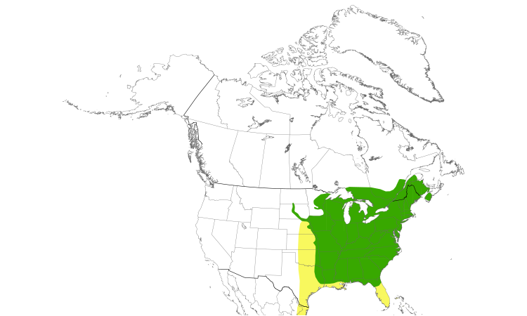 Range Map (North): Wood Thrush