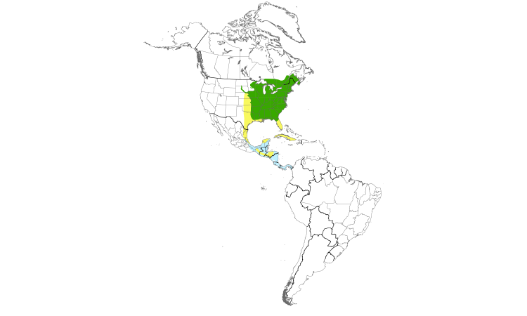 Range Map (Americas): Wood Thrush