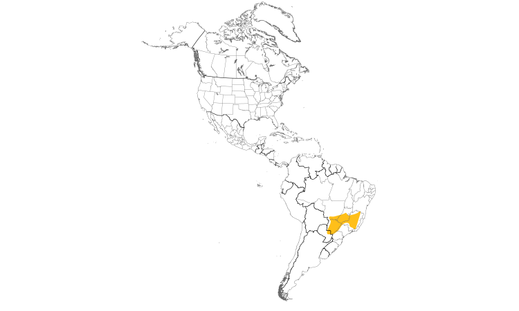 Range Map (Americas): Chestnut-capped Foliage-gleaner