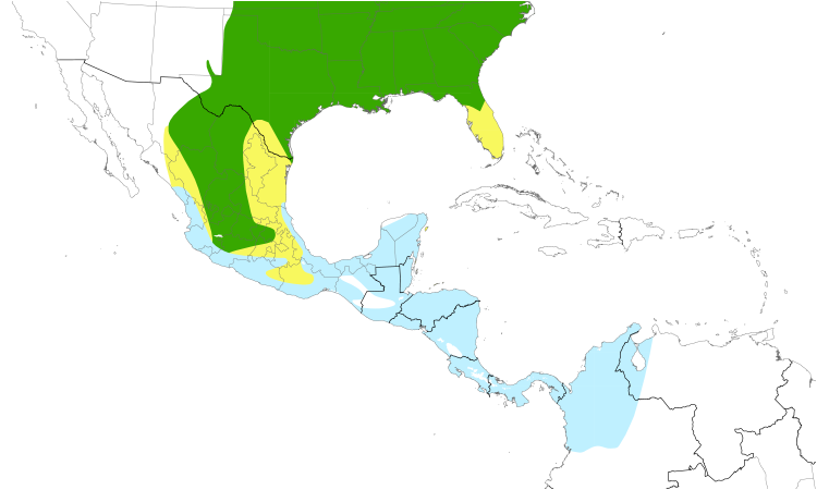 Range Map (Central): Orchard Oriole