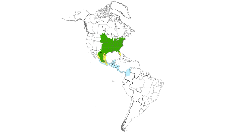 Range Map (Americas): Orchard Oriole