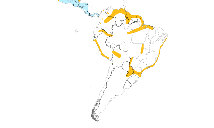 Range Map (South): Least Bittern