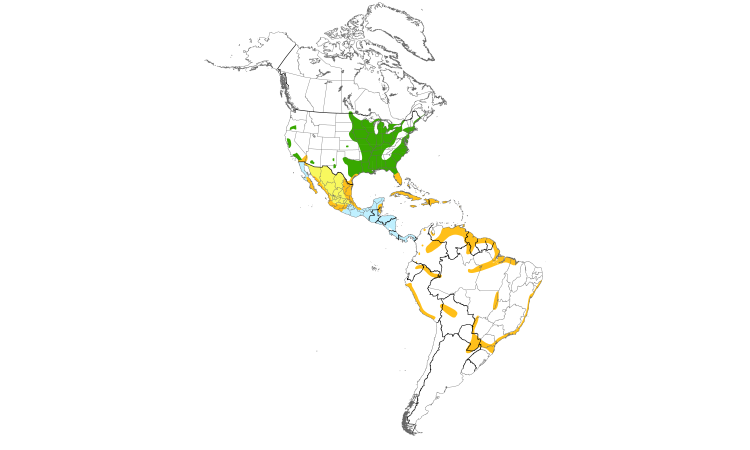 Range Map (Americas): Least Bittern