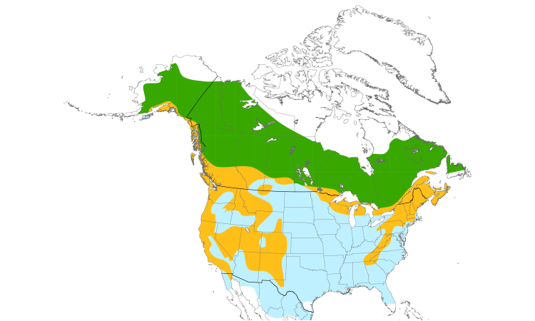 Range Map (North): Dark-eyed Junco