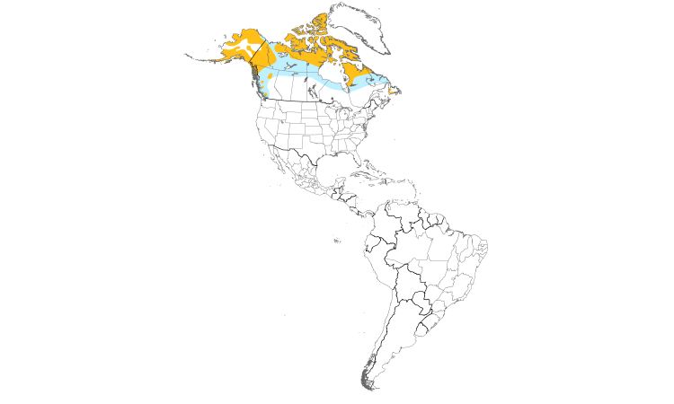 Range Map (Americas): Rock Ptarmigan