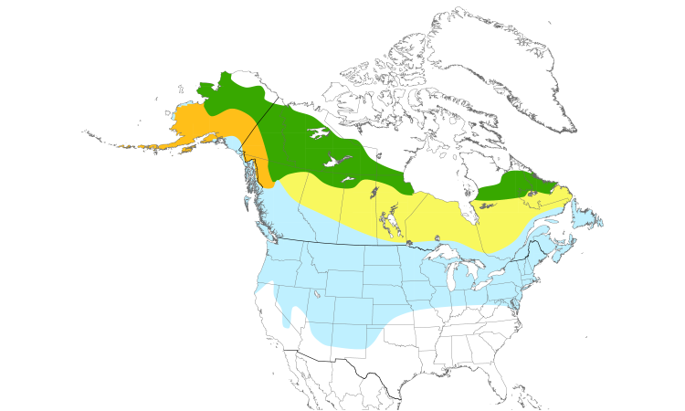 Range Map (North): Northern Shrike