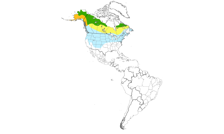 Range Map (Americas): Northern Shrike