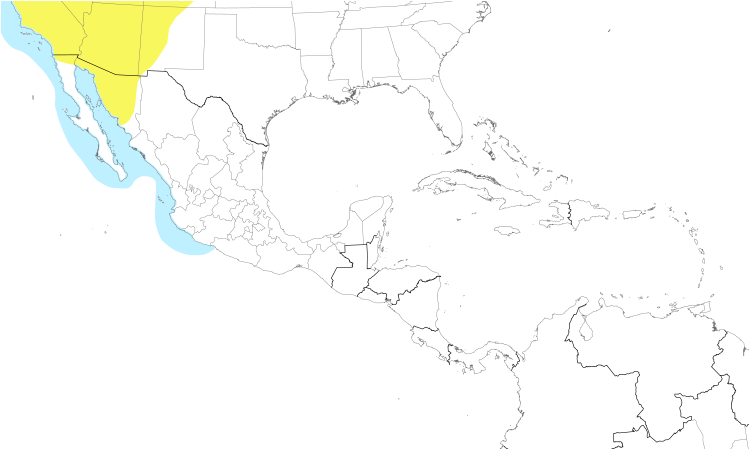 Range Map (Central): California Gull