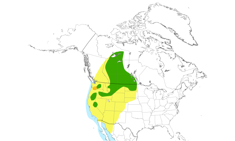 Range Map (North): California Gull