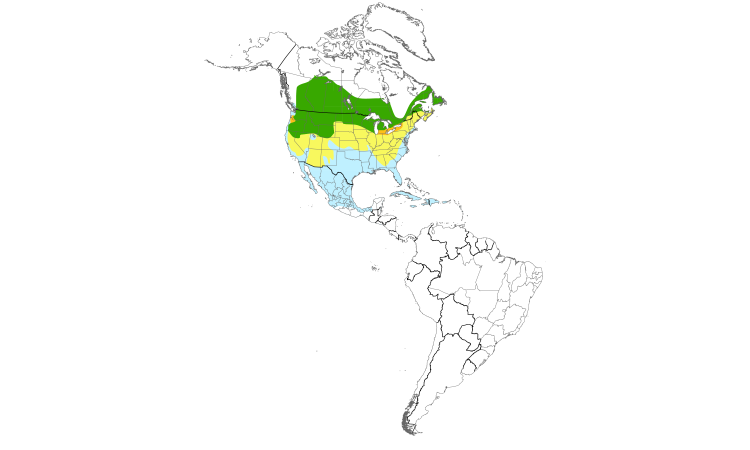 Range Map (Americas): Ring-billed Gull