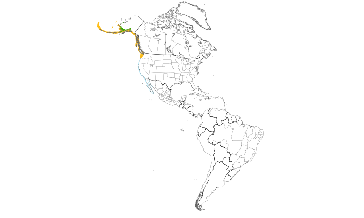 Range Map (Americas): Glaucous-winged Gull