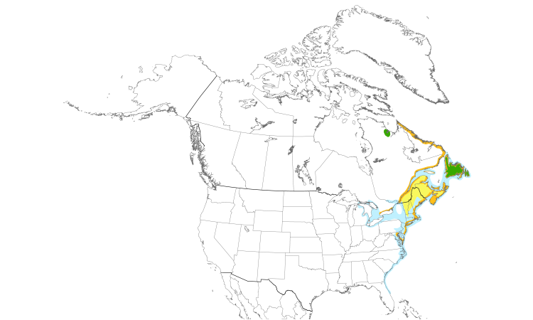 Range Map (North): Great Black-backed Gull
