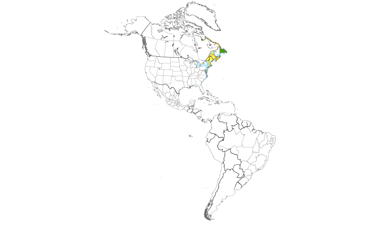 Range Map (Americas): Great Black-backed Gull