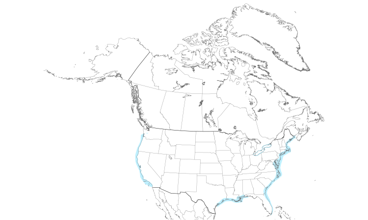 Range Map (North): Little Gull